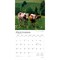 Switzerland | 2026 12 x 24 Inch (Hanging) Monthly Square Wall Calendar | Plastic-Free